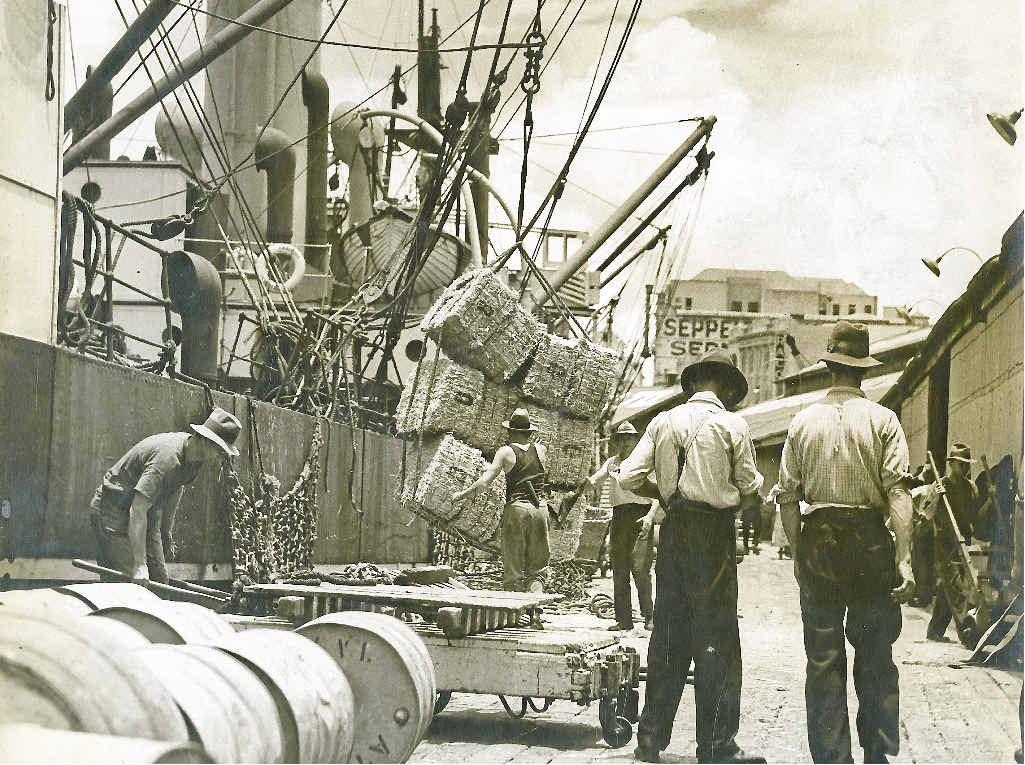 AS WE WERE: Early shipping fleet, Queensland. INSET: Benjamin Wickham MacDonald. AS WE WERE: Early shipping fleet, Queensland. INSET: Benjamin Wickham MacDonald.