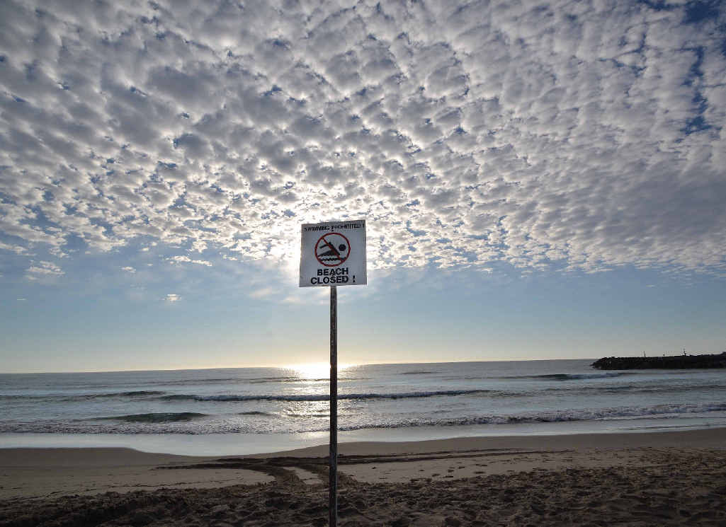Beaches in Evans Head remained closed overnight after a shark attack on Main Beach. Beaches in Evans Head remained closed overnight after a shark attack on Main Beach.