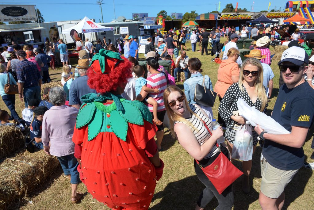 BERRY MANIA: Huge crowds enjoy the 2015 Bargara Strawberry Festival. Photo: Max Fleet / NewsMail