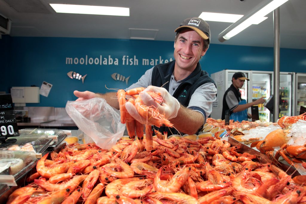 Sunshine Coast food tour now in the palm of your hand Sunshine Coast