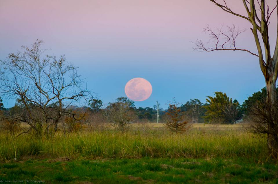 Blue moon rising at Casino. Blue moon rising at Casino.