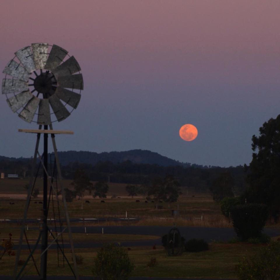 This was my view of the blue moon on the weekend, from Fairy Hill. This was my view of the blue moon on the weekend, from Fairy Hill.