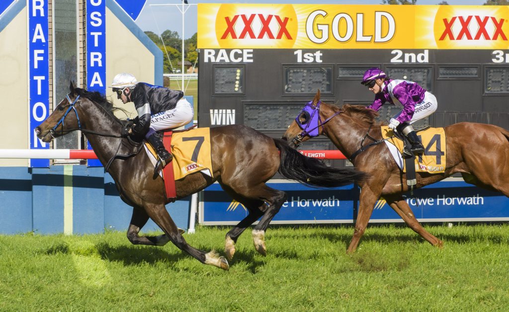 Imza Smoothie, ridden by Matt Paget for Hunter Kilner beats home Wickedly Risque in race 1 on South Grafton Cup Day. Photo Adam Hourigan / The Daily Examiner Imza Smoothie, ridden by Matt Paget for Hunter Kilner beats home Wickedly Risque in race 1 on South Grafton Cup Day. Photo Adam Hourigan / The Daily Examiner