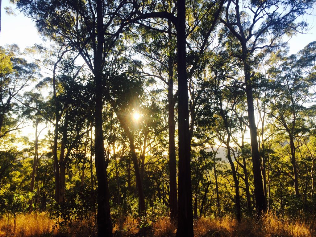 The climb up Mout Larcom may be tough, but the sunset views are worth the trouble. The climb up Mout Larcom may be tough, but the sunset views are worth the trouble.