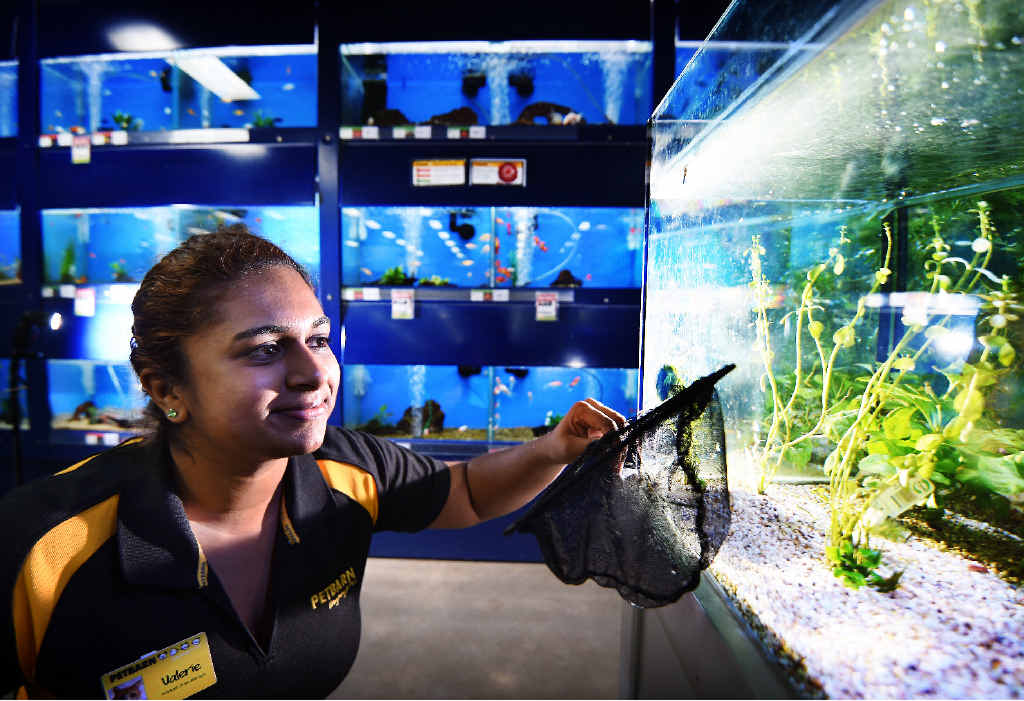 HELPING HAND: Petbarn assistant store manager Valerie Verma enjoying the view of her favourite pets. HELPING HAND: Petbarn assistant store manager Valerie Verma enjoying the view of her favourite pets.