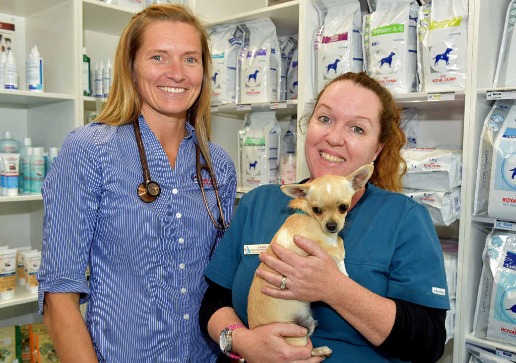 HANDY HINTS: Simone Byatt and Dr Stacey Berkhout (left) from the Nicklin Way Vet Surgery, pictured with with Austin the dog, share cost-busting tips. HANDY HINTS: Simone Byatt and Dr Stacey Berkhout (left) from the Nicklin Way Vet Surgery, pictured with with Austin the dog, share cost-busting tips.