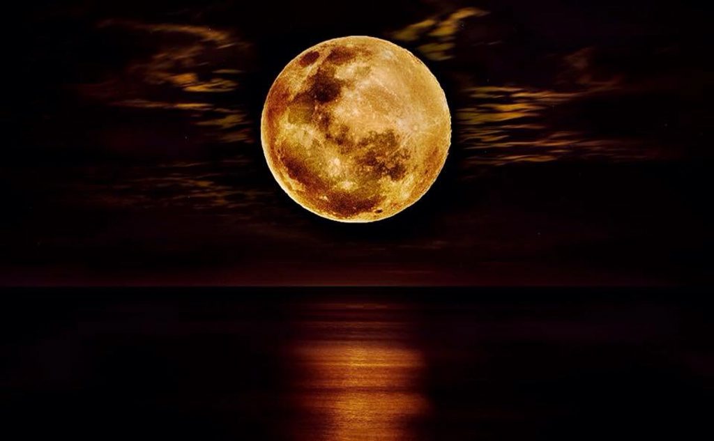  Justin Fitzgibbon That 'Not so Blue' moon on the 31st, Moffat Beach. This week's winning Cover Image photo. 