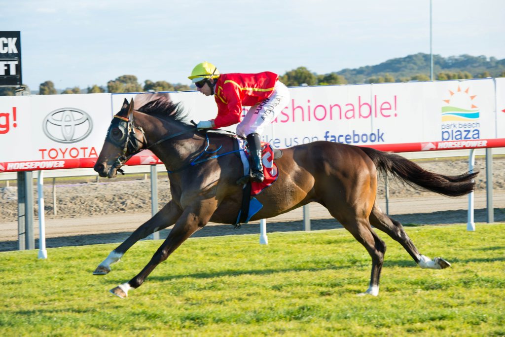 Our Boy Nicholas strides out for jockey Brenton Avdulla to claim the 2015 Carlton MID Coffs Harbour Gold Cup. Our Boy Nicholas strides out for jockey Brenton Avdulla to claim the 2015 Carlton MID Coffs Harbour Gold Cup.