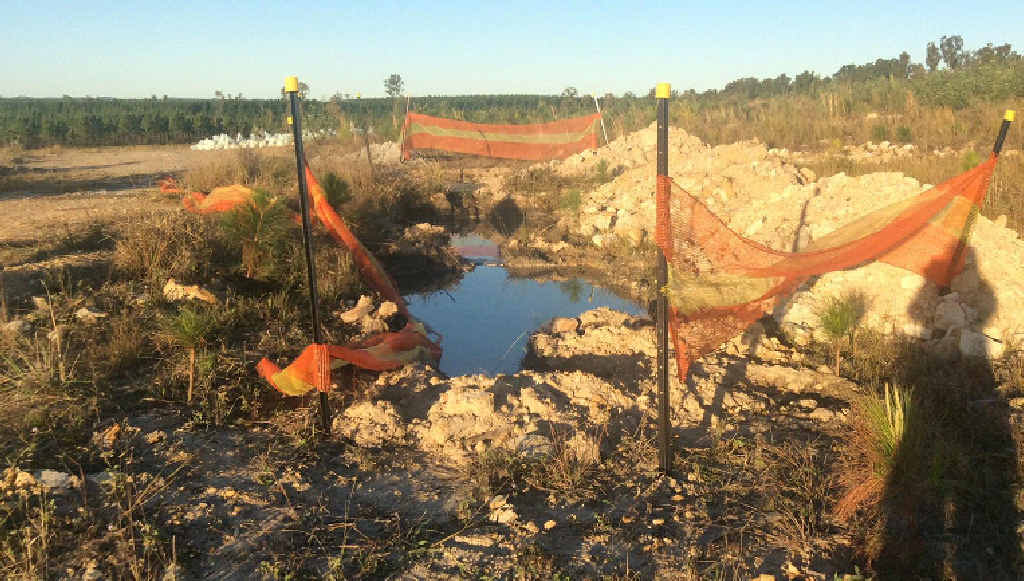 NOW RESTORED: Coal exploration works at Toolara have since been restored, according to residents and mine officials. NOW RESTORED: Coal exploration works at Toolara have since been restored, according to residents and mine officials.