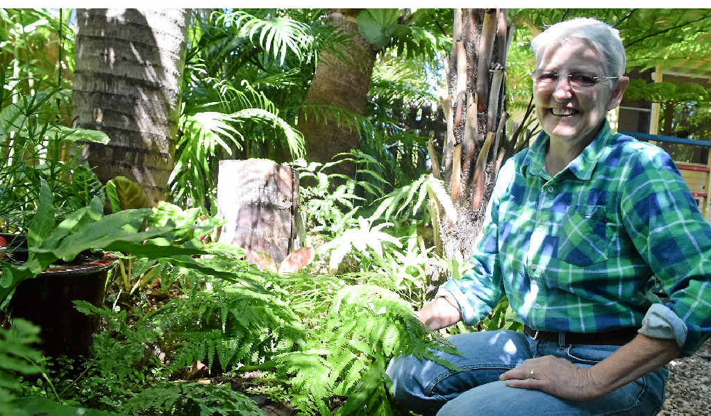 Helen Crocker has made the most of a small space in her garden. Helen Crocker has made the most of a small space in her garden.