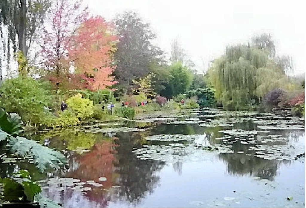 Another striking photograph of Monet’s Garden.
