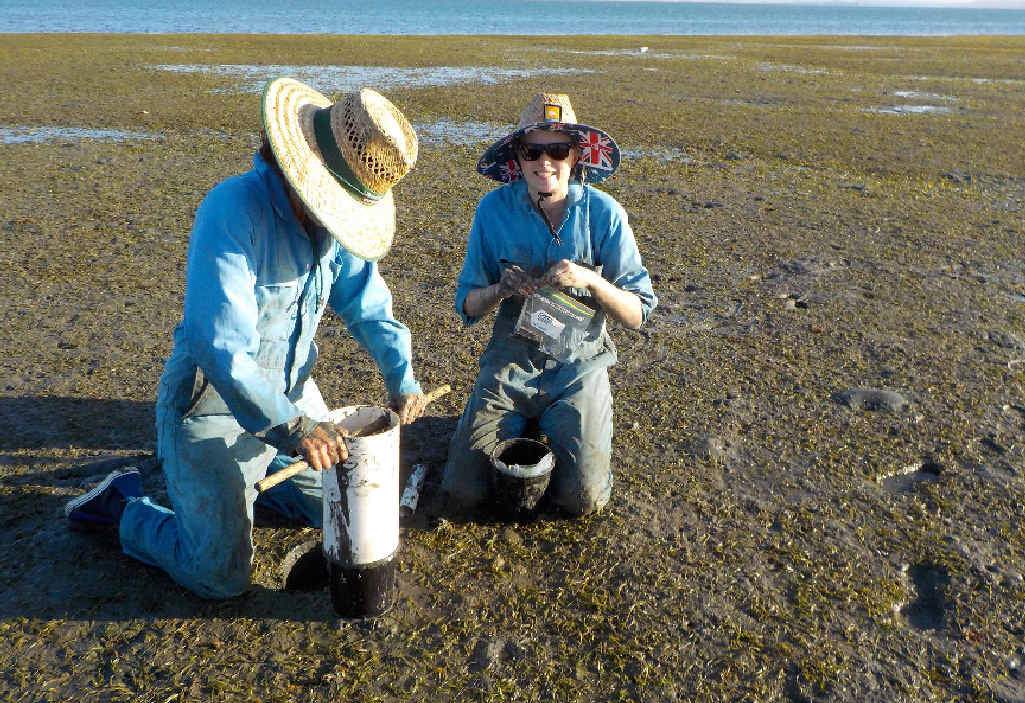 GET INVOLVED: Scientist Dr Emma Jackson studies seagrass and is now offering you a chance to help her make a difference. GET INVOLVED: Scientist Dr Emma Jackson studies seagrass and is now offering you a chance to help her make a difference.