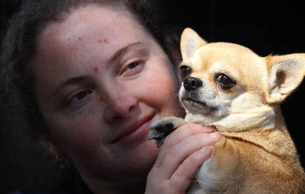 TOP DOG: Toowoomba’s Amanda Dunn holds GG, who she is helping to show at the Ekka. TOP DOG: Toowoomba’s Amanda Dunn holds GG, who she is helping to show at the Ekka.