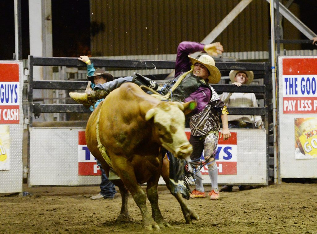 Guy Ford in the Open Bull Ride at the Great Western Hotel Near Year Teams Bull Riding Challenge. Photo: Chris Ison / The Morning Bulletin Guy Ford in the Open Bull Ride at the Great Western Hotel Near Year Teams Bull Riding Challenge. Photo: Chris Ison / The Morning Bulletin