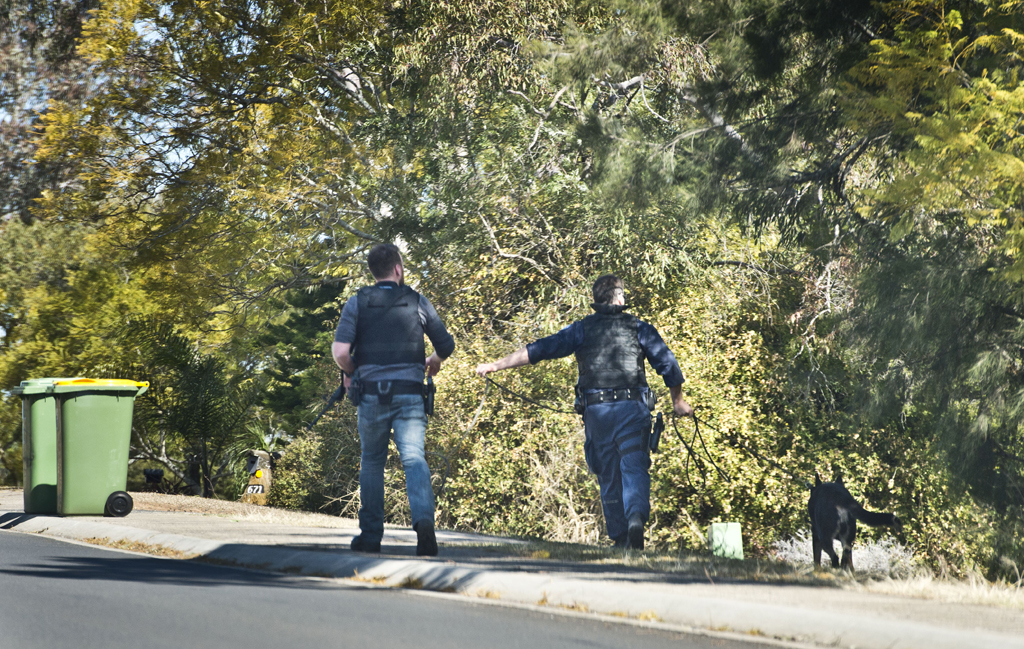 Police searching in Glenvale for a suspected gunman. Police searching in Glenvale for a suspected gunman.
