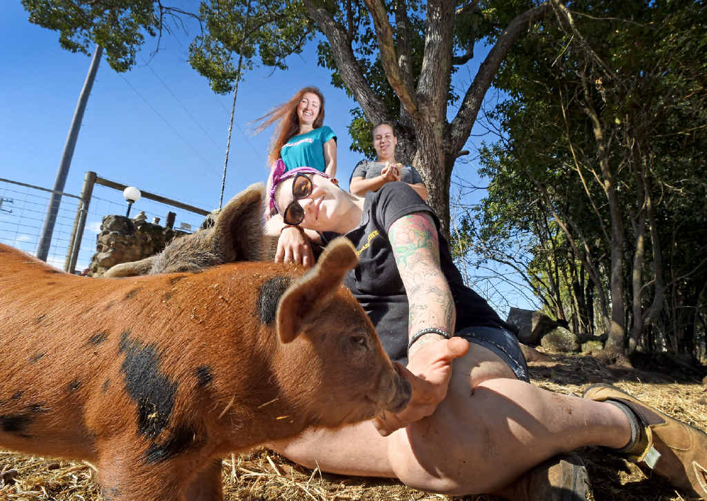 JOYFUL ENTERPRISE: Sugarshine Feminist Animals Rescue Mission founders Megan Parker, Fox Stace and Kelly Nelder have taken up the call to help animals abused and betrayed by humanity. JOYFUL ENTERPRISE: Sugarshine Feminist Animals Rescue Mission founders Megan Parker, Fox Stace and Kelly Nelder have taken up the call to help animals abused and betrayed by humanity.