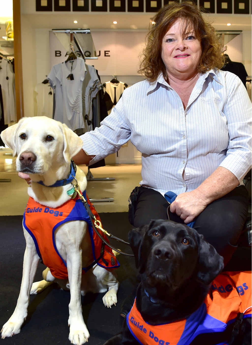 COLD NOSES, WARM HEARTS: Myer Maroochydore has raised $40,000 for Guide dogs. Olwyn Kerr, of Guide Dogs Queensland, with Archie and Champ went along to say thanks. COLD NOSES, WARM HEARTS: Myer Maroochydore has raised $40,000 for Guide dogs. Olwyn Kerr, of Guide Dogs Queensland, with Archie and Champ went along to say thanks.