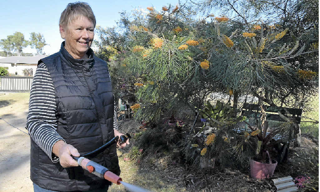 Pat Bunting in her garden full of natives. Pat Bunting in her garden full of natives.