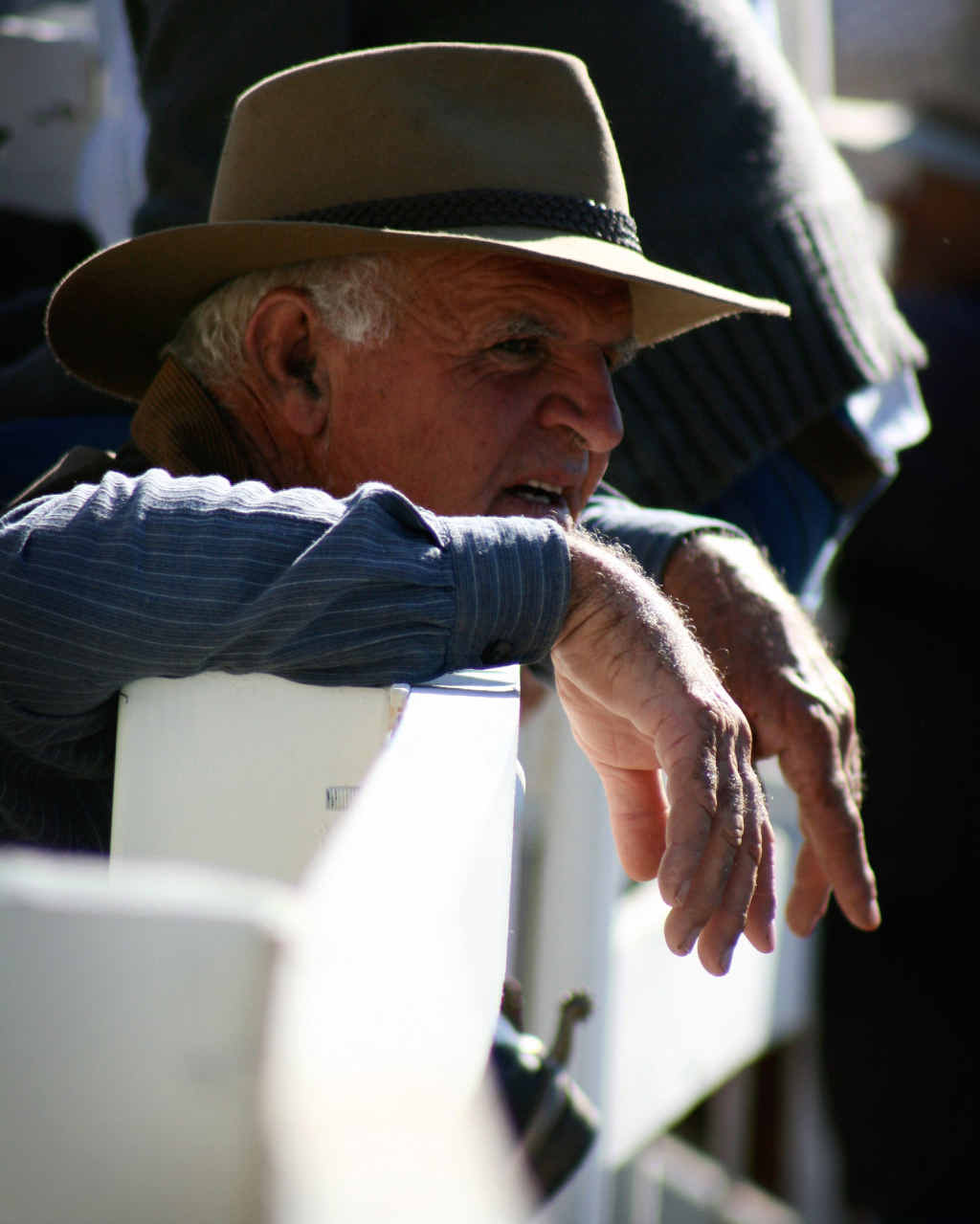 LEGEND: Happy Davis of Brushgrove, taken at the Big River Campdraft in Grafton. LEGEND: Happy Davis of Brushgrove, taken at the Big River Campdraft in Grafton.