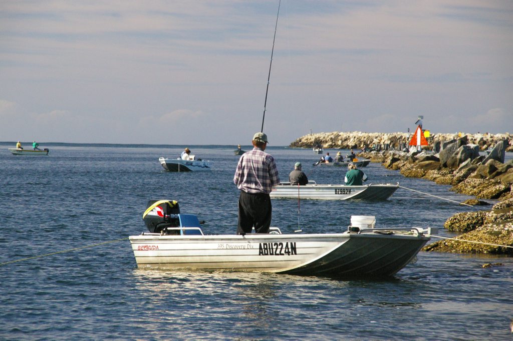 Our local fishing experts give some tips on where the fish are biting. Photo Department of Primary Industries Our local fishing experts give some tips on where the fish are biting. Photo Department of Primary Industries