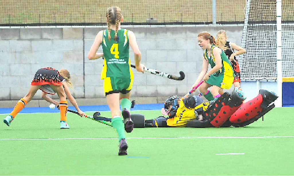 Plenty of hockey action on Friday nights and all day Saturday Plenty of hockey action on Friday nights and all day Saturday
