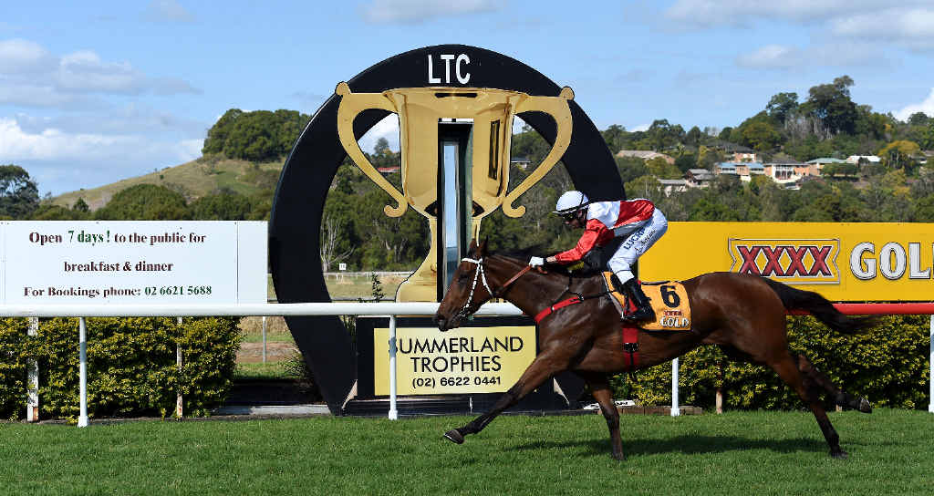 WINNING DOUBLE: Andrew Adkins rode Redwolf to a win at the Lismore Turf Club TAB meeting yesterday. He also rode Chantillu Chateau (pictured) earlier in the day. WINNING DOUBLE: Andrew Adkins rode Redwolf to a win at the Lismore Turf Club TAB meeting yesterday. He also rode Chantillu Chateau (pictured) earlier in the day.