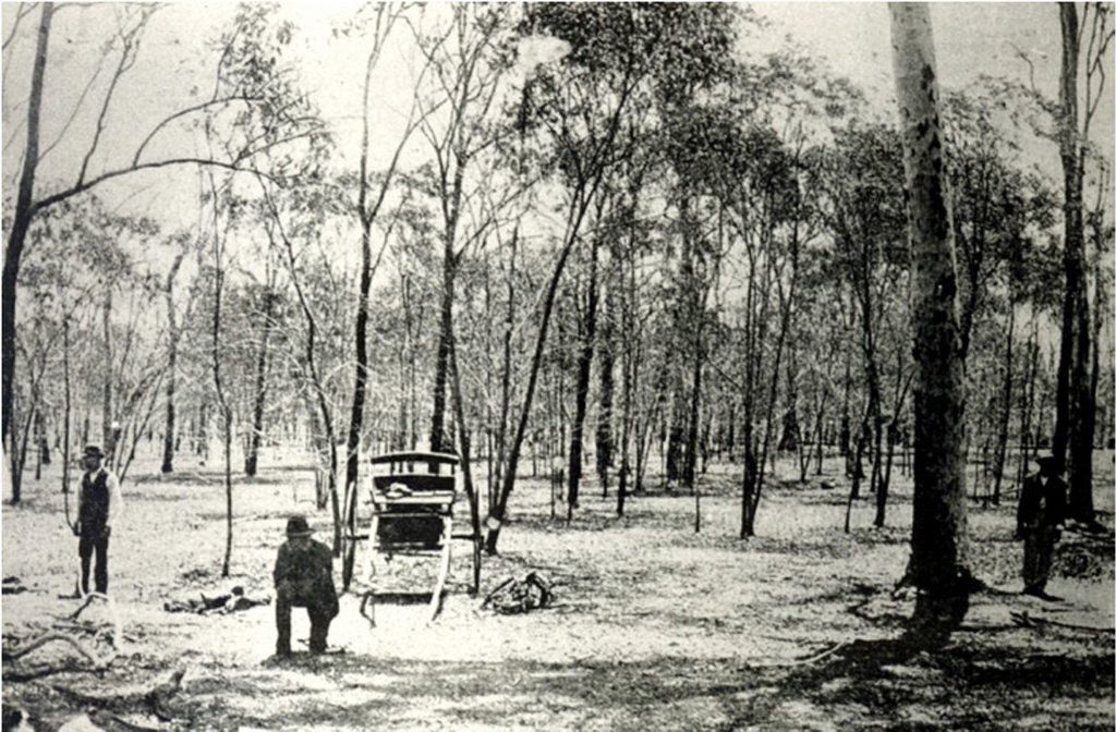 Gatton murder scene with police trackers at work, alongside Constable Murphy of Brisbane in the wattle scrub covered paddock belonging to Frank Moran. The Sulky belonging to the Murphy's siblings (middle of the image) was part of the Police Museum collection but sadly it disappeared sometime after 1938. Gatton murder scene with police trackers at work, alongside Constable Murphy of Brisbane in the wattle scrub covered paddock belonging to Frank Moran. The Sulky belonging to the Murphy's siblings (middle of the image) was part of the Police Museum collection but sadly it disappeared sometime after 1938.