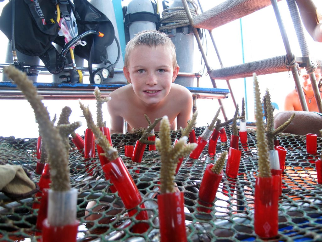OCTOPUS'S GARDEN: Kailash Cook with part of the coral planted for the artificial reef. OCTOPUS'S GARDEN: Kailash Cook with part of the coral planted for the artificial reef.