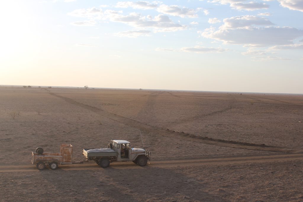 The lack of rain has forced the Bradshaw's to reduce cattle numbers from 1600 head back to 400, with another 400 head on agistment at Capella in Central Queensland. The lack of rain has forced the Bradshaw's to reduce cattle numbers from 1600 head back to 400, with another 400 head on agistment at Capella in Central Queensland.
