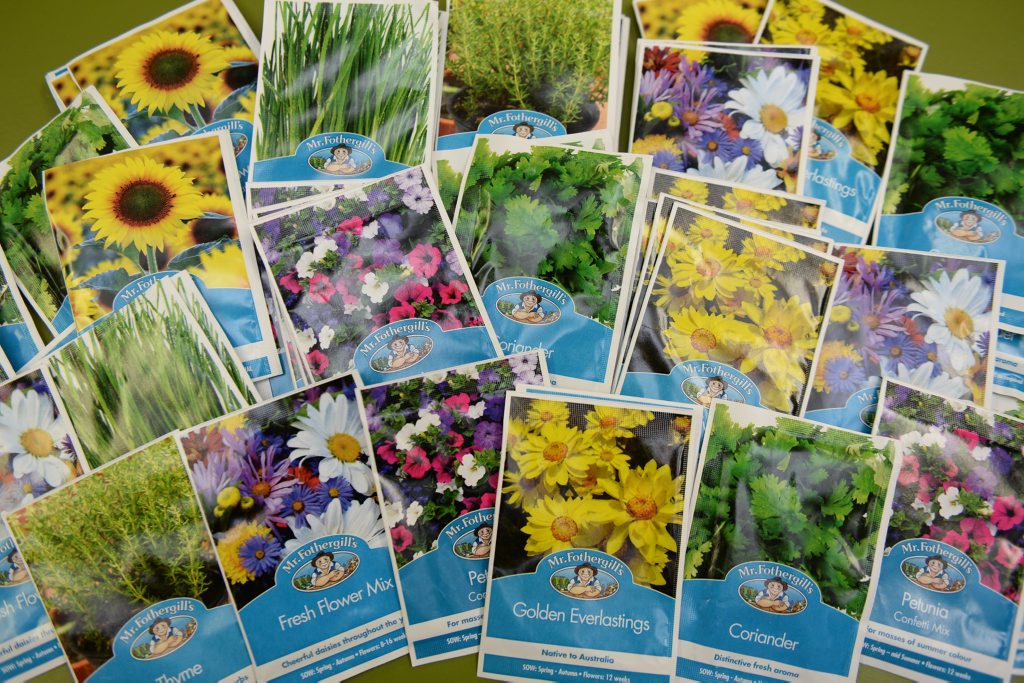 Daily Mercury Seeds Promotion. Photo Lee Constable / Daily Mercury Daily Mercury Seeds Promotion. Photo Lee Constable / Daily Mercury