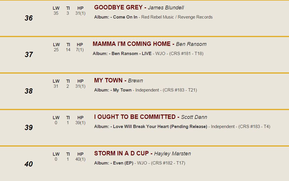 Hayley Marsten's single Storm in a D Cup has made it into the Top 40 country music chart.