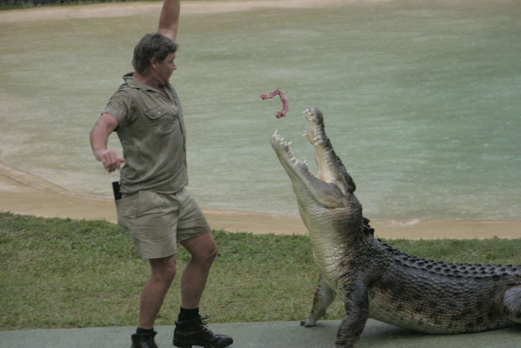 06/04/05 141952 Steve Irwin feeds a crocodile at Australia Zoo. Photo: Chris McCormack 06/04/05 141952 Steve Irwin feeds a crocodile at Australia Zoo. Photo: Chris McCormack