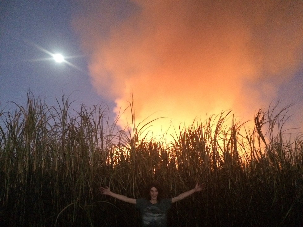 Paul Stanley-Jones' son, Harry, standing before the canefire at Woodburn on August 28. Paul Stanley-Jones' son, Harry, standing before the canefire at Woodburn on August 28.