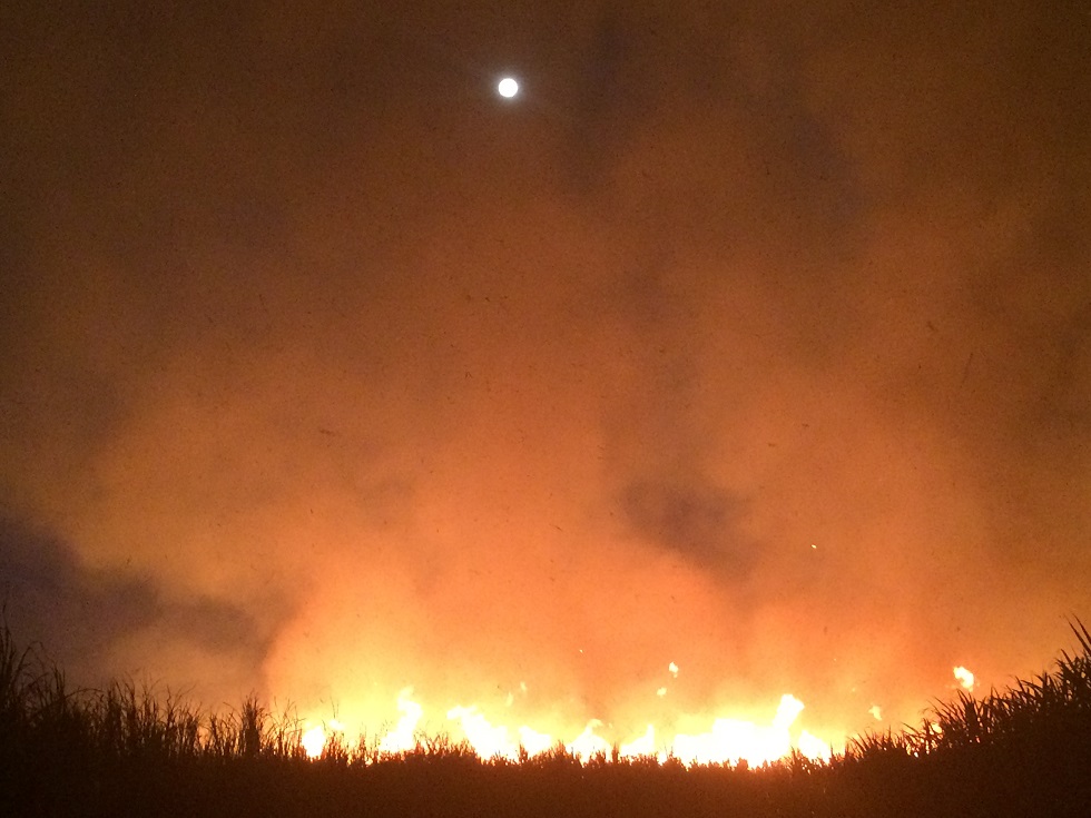 One of the (dragon-less) images of the Woodburn cane fire snapped by Paul Stanley-Jones. One of the (dragon-less) images of the Woodburn cane fire snapped by Paul Stanley-Jones.