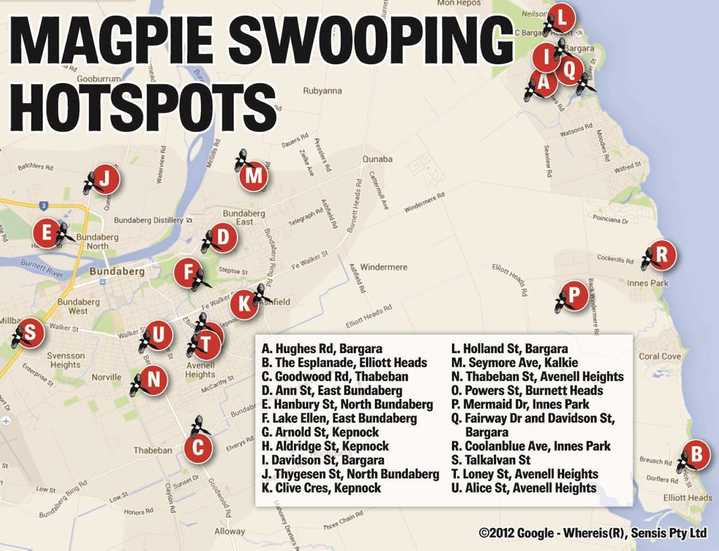 A map of the magpie hotspots in Bundaberg. A map of the magpie hotspots in Bundaberg.