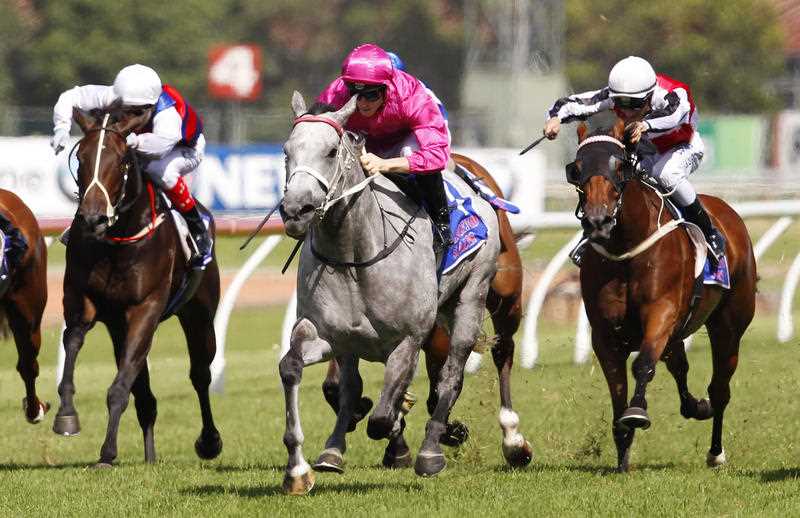 Catkins (centre) ridden by James McDonald wins the Ascend Sales Trophies Emancipation Stakes race during the Western Sydney Legends Day at Rosehill race course in NSW. Saturday March 28, 2015. Catkins (centre) ridden by James McDonald wins the Ascend Sales Trophies Emancipation Stakes race during the Western Sydney Legends Day at Rosehill race course in NSW. Saturday March 28, 2015.