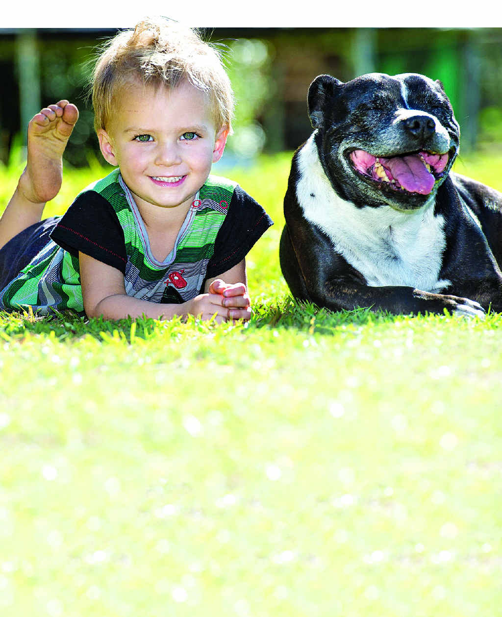WONDER DOG: The family dog, Leala, attempted to rescue toddler Alexander Kenney from the dam. WONDER DOG: The family dog, Leala, attempted to rescue toddler Alexander Kenney from the dam.