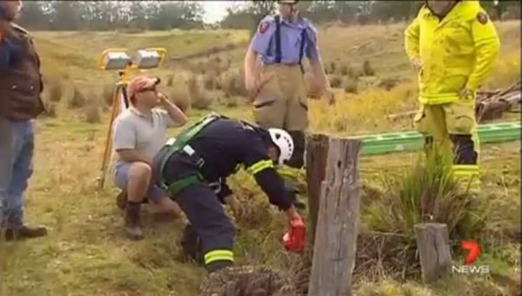 Highfields auxillary firefighters rescue Sampson the calf from a 10m well at a Geham property. Highfields auxillary firefighters rescue Sampson the calf from a 10m well at a Geham property.