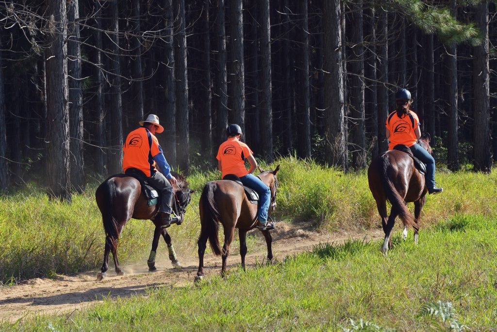Search for missing boy at Wallu near Tin Can Bay at the Rainbow Beach, Tin Can Bay road turnoff. Locals with horses were asked by police to take part in the search. Search for missing boy at Wallu near Tin Can Bay at the Rainbow Beach, Tin Can Bay road turnoff. Locals with horses were asked by police to take part in the search.