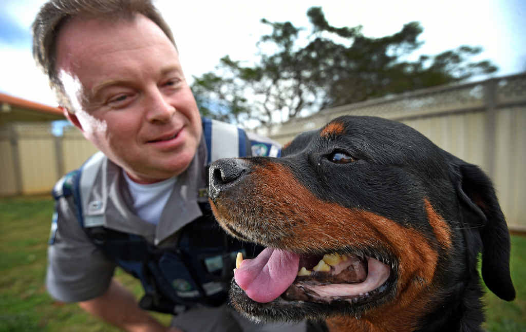SPECIAL BOND: Guard dog Bruno has been diagnosed with cancer and will be greatly missed by security officer Rick Beddoes. SPECIAL BOND: Guard dog Bruno has been diagnosed with cancer and will be greatly missed by security officer Rick Beddoes.