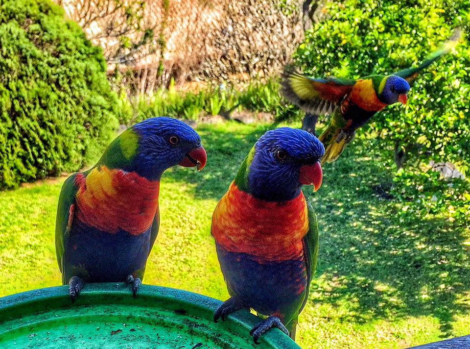 Watch out for the gatecrasher.