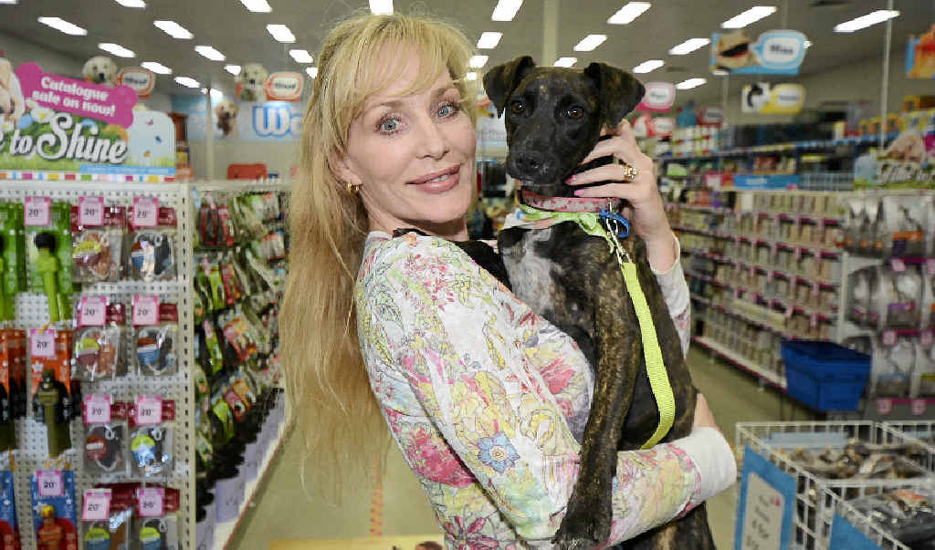 CAN YOU HELP?: Silver Lining Pet Rescue’s Marianne Mattingly-Ferris, with seven- month-old Shiloh. Pet Stock Maroochydore hosted the not-for-profit group as part of the nationwide pet foster day. CAN YOU HELP?: Silver Lining Pet Rescue’s Marianne Mattingly-Ferris, with seven- month-old Shiloh. Pet Stock Maroochydore hosted the not-for-profit group as part of the nationwide pet foster day.