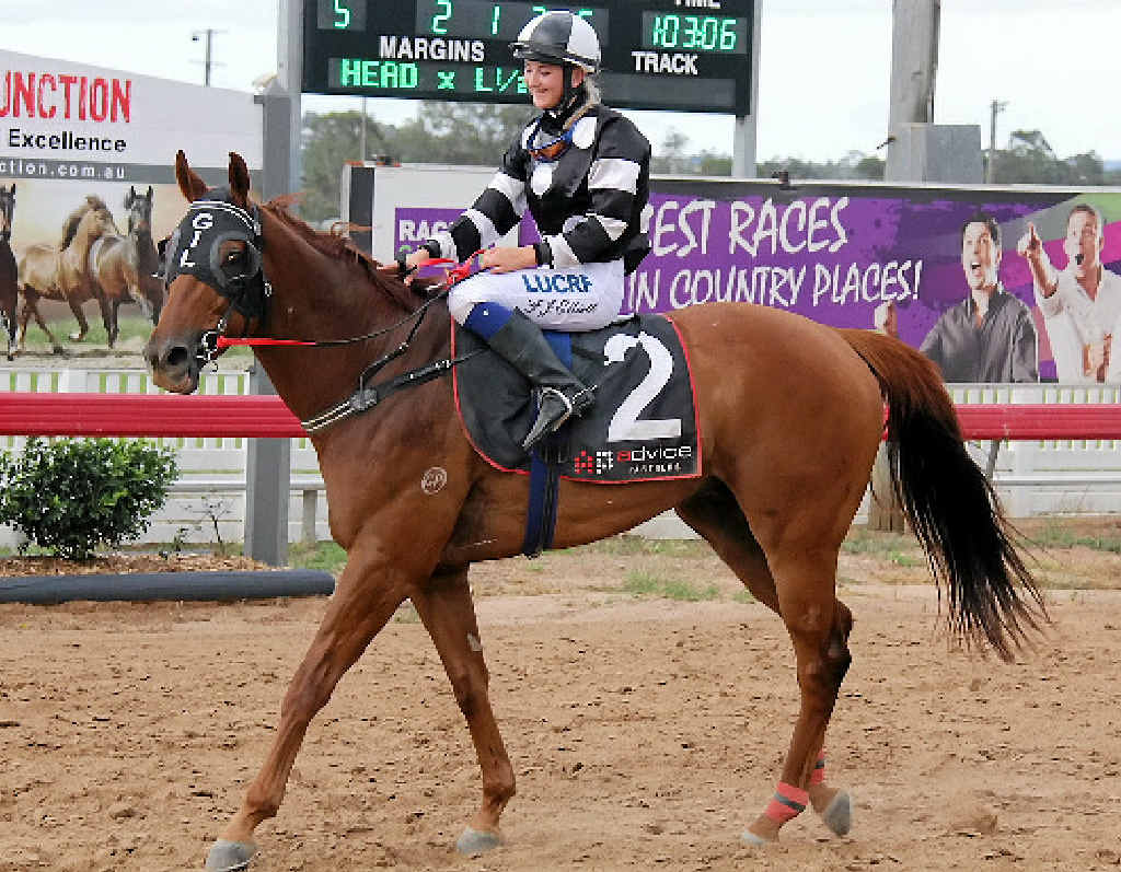 PRIORITY PICK: Unique Fuse will be in action at the Gympie races tomorrow. PRIORITY PICK: Unique Fuse will be in action at the Gympie races tomorrow.