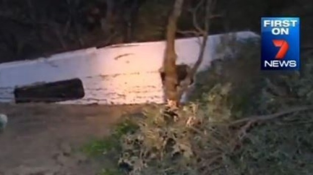 A caravan is swallowed by the large sinkhole. Image: Seven News A caravan is swallowed by the large sinkhole. Image: Seven News