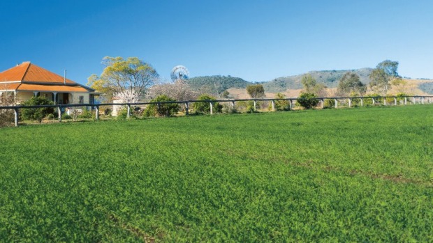 Queensland Health is understood to be advising Oakey residents not to eat eggs, or drink milk from animals raised within the contamination zone, as well as avoiding fish caught in the creek. Queensland Health is understood to be advising Oakey residents not to eat eggs, or drink milk from animals raised within the contamination zone, as well as avoiding fish caught in the creek.