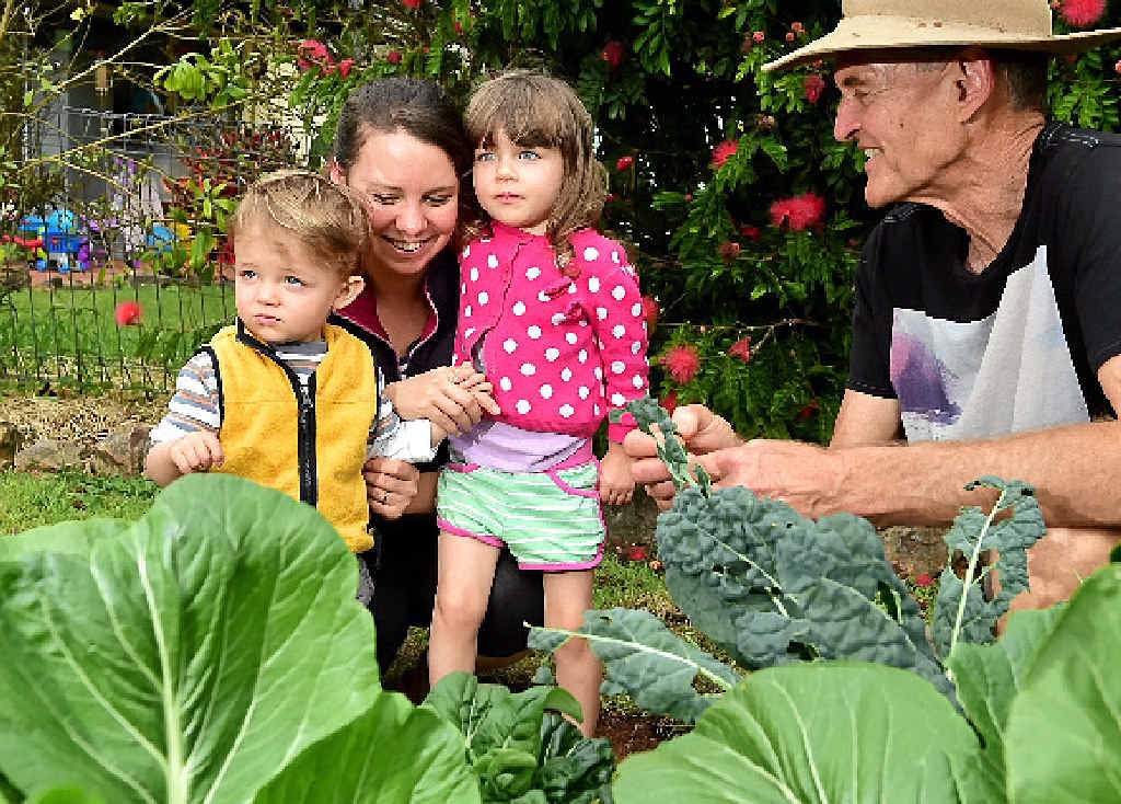 SOW GOOD: Joshua, 1, Amy and Gabrielle Diesel, 3, with Duncan McNaught at one of the many edible garden beds at Urban Food Street, Buderim. INSET: Costa Georgiadis. SOW GOOD: Joshua, 1, Amy and Gabrielle Diesel, 3, with Duncan McNaught at one of the many edible garden beds at Urban Food Street, Buderim. INSET: Costa Georgiadis.