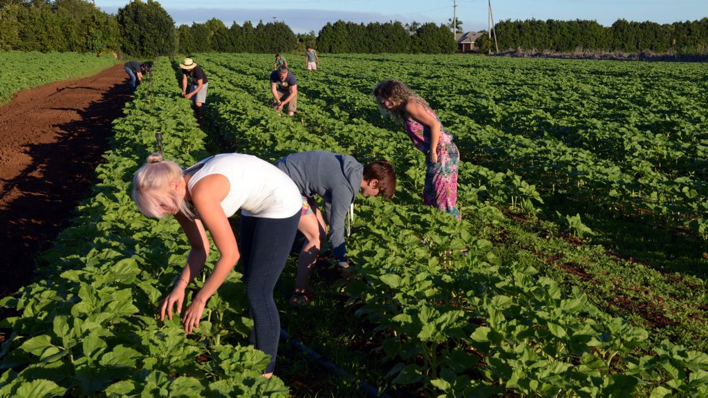 Will international workers keep coming if their taxes go up? Will international workers keep coming if their taxes go up?