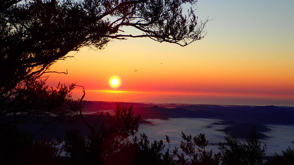 Mt Warning sunrise.