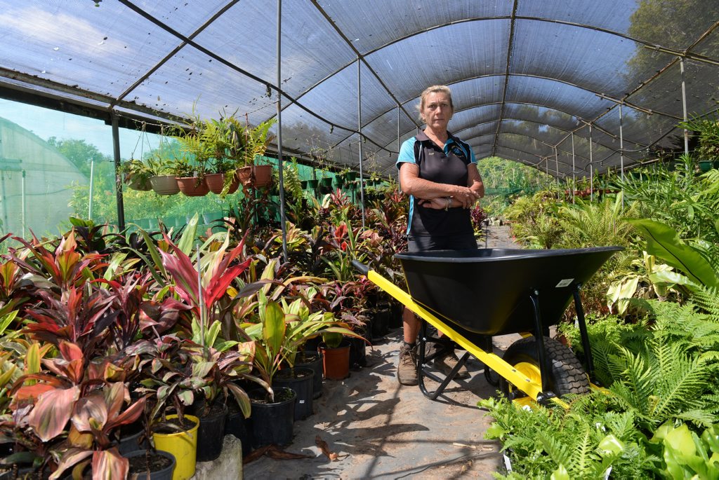 NOT ON: Sue Riley had to replace her wheelbarrow which was stolen from the Tropical Paradise Nursery. Photo: Mike Knott / NewsMail NOT ON: Sue Riley had to replace her wheelbarrow which was stolen from the Tropical Paradise Nursery. Photo: Mike Knott / NewsMail