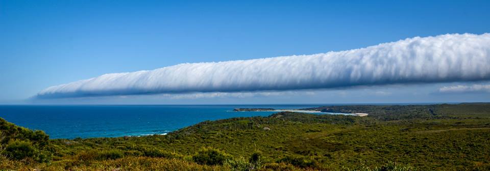 Weather event know as a 'Morning Glory' passes over Snapper Rock Evans Head. Weather event know as a 'Morning Glory' passes over Snapper Rock Evans Head.